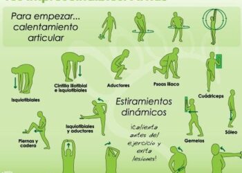 15 estiramientos esenciales para calentar y recuperarse