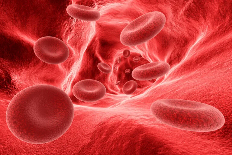 Importancia de controlar niveles bajos de eritrocitos