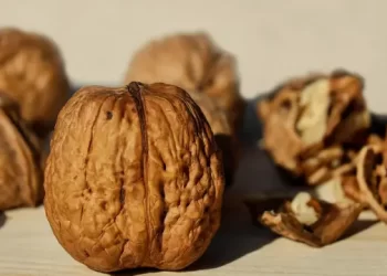 cuales son los beneficios de incluir nueces en tu dieta diaria