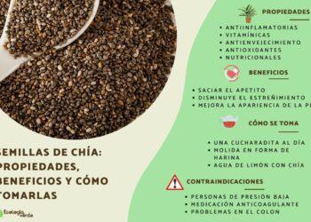 cuales son los beneficios de las semillas de chia