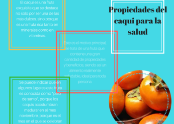 propiedades y beneficios del caqui para la salud