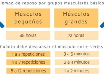 que musculos entrenar juntos para crecer mas rapido