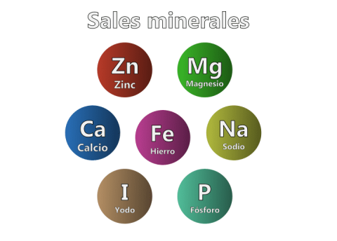 sales minerales definicion y tipos en el cuerpo humano
