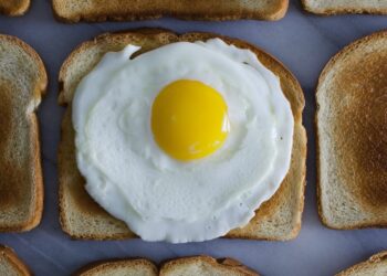 son los huevos veganos una opcion saludable para la alimentacion