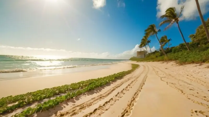 Playa dorada con olas y palmeras